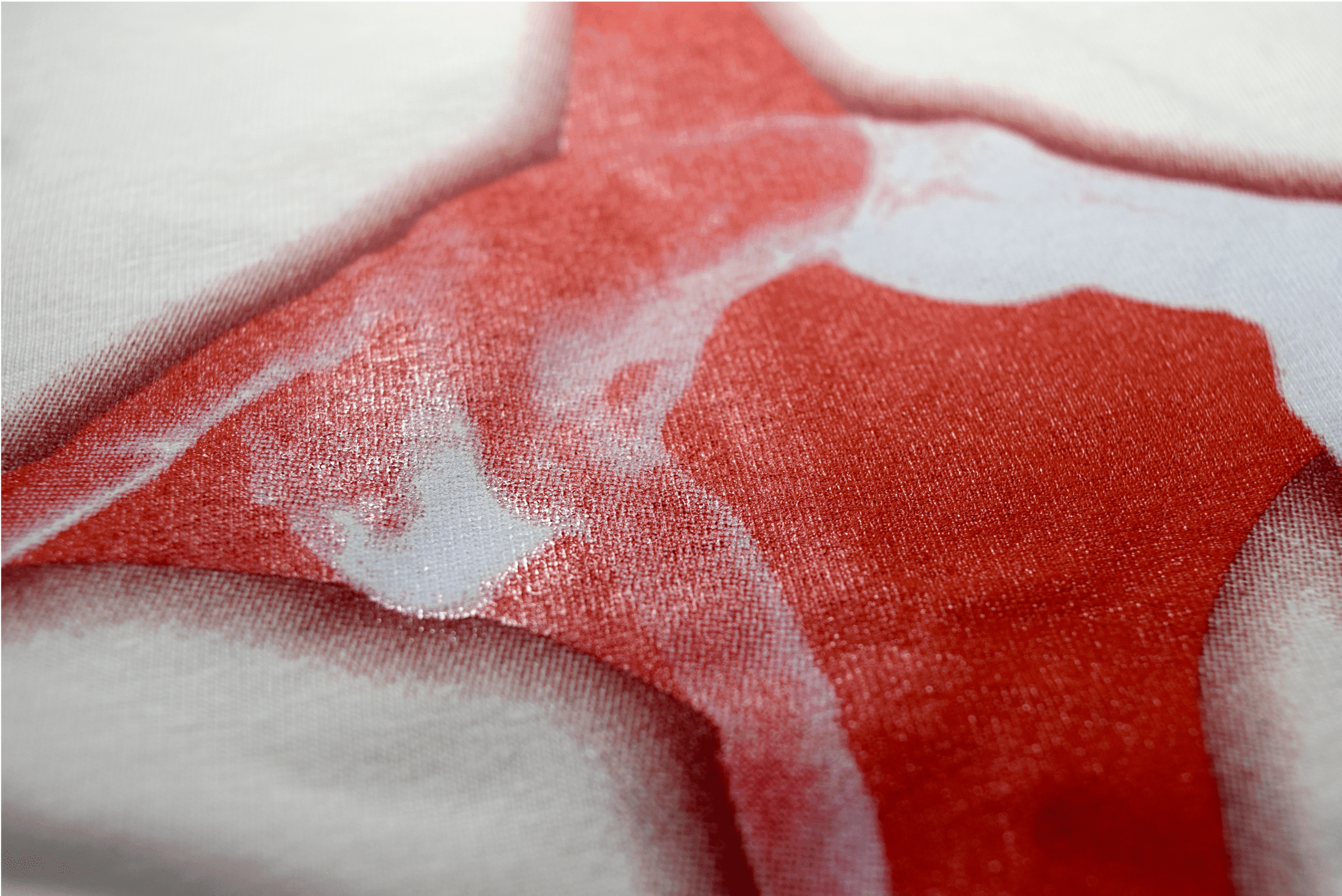 CAMISETA TRUE LIGHT NEVER FADES - Image 7